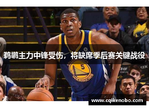 鹈鹕主力中锋受伤，将缺席季后赛关键战役